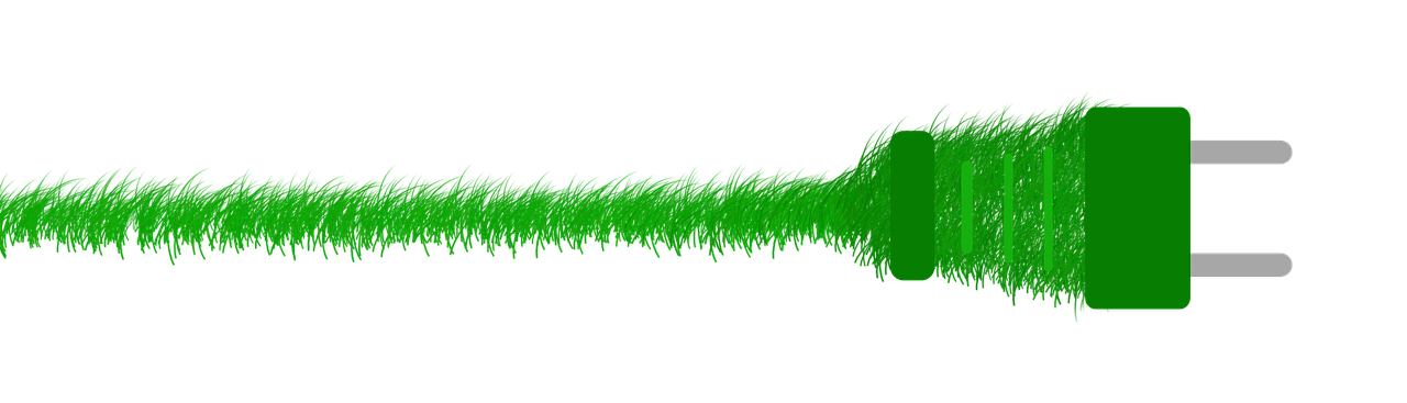 groenlipmossel